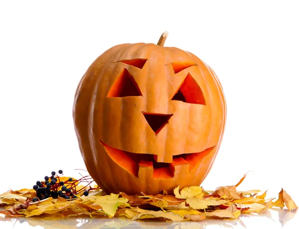 Halloween-Kürbis und Herbstblätter, isoliert auf weiß — Stockfoto