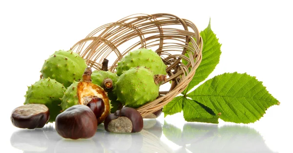 Chestnuts with leaves in basket, isolated on white — Stock Photo, Image