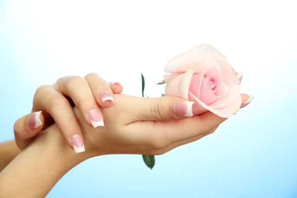 Hermosas manos de mujer con rosa, sobre fondo azul — Foto de Stock