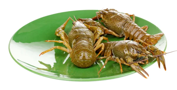 Πράσινο crayfishes πάνω στην πλάκα που απομονώνονται σε λευκό — Φωτογραφία Αρχείου