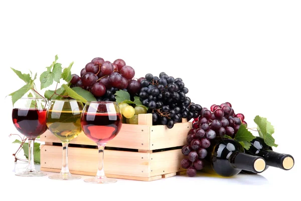 Bottles and glasses of wine and assortment of grapes in wooden crate, isola — Stock Photo, Image