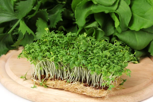 Fresh cress salad on wooden board — Stock Photo, Image