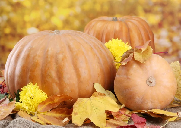 Pumpkins and autumn leaves, on yellow background — Stock Photo, Image