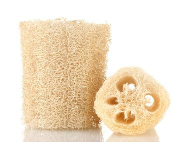 beyaz izole lif kabağı