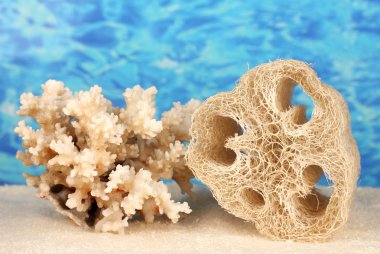 renkli arka plan üzerinde lif kabağı