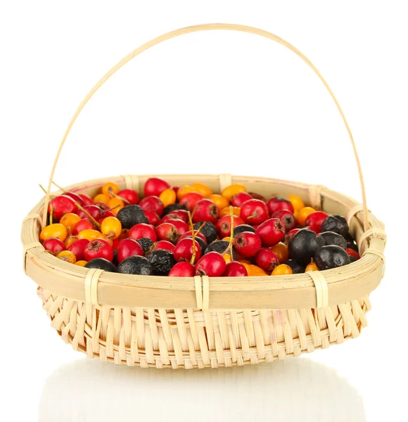 Bagas de outono coloridas em cesta de vime isoladas em branco — Fotografia de Stock
