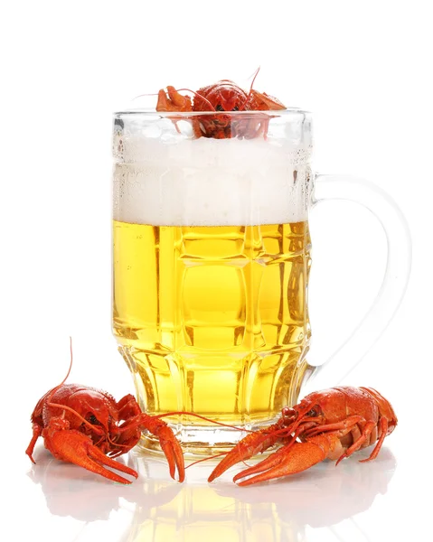 Tasty boiled crayfishes and beer isolated on white