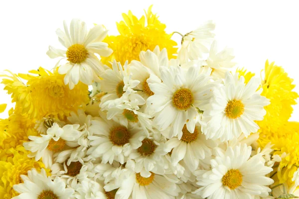 Strauß schöner Gänseblümchen, isoliert auf weißem Grund — Stockfoto