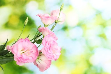 yeşil zemin üzerine eustoma çiçek buketi