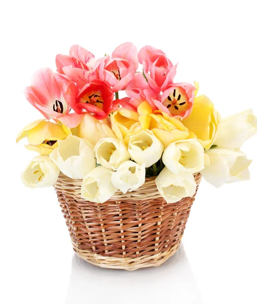 Hermosos tulipanes en cesta aislada en blanco —  Fotos de Stock