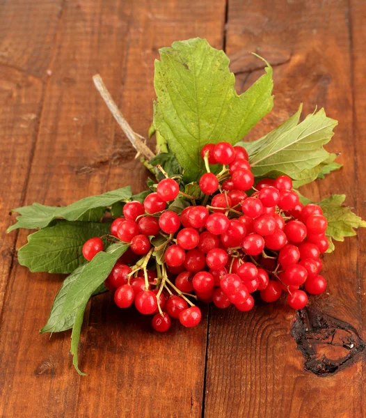 Ripe viburnum on wooden background close-up — Stock Photo, Image