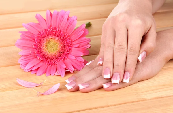 Mãos de mulher com manicure francês e flor em fundo de madeira — Fotografia de Stock