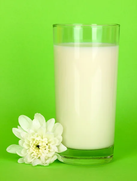 Glass of fresh new milk with white flower on green background — Stock Photo, Image