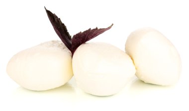 taze mozzarella üzerinde beyaz izole