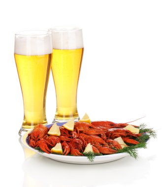 haşlanmış crayfishes ve üzerinde beyaz izole bira