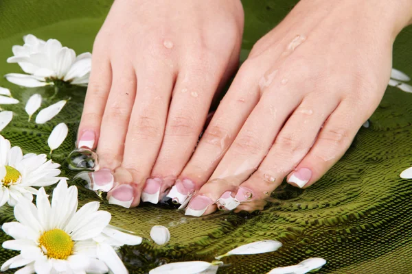 Mãos de mulher com manicure francês e flores em tigela verde com água — Fotografia de Stock