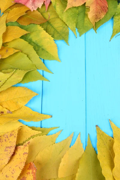 Heldere Herfstbladeren op blauwe houten plank achtergrond — Stockfoto