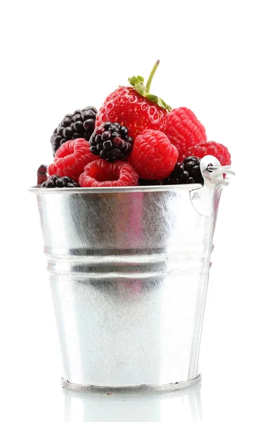 Красиві ягоди в відрі ізольовані на білому — стокове фото