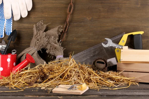 Ratonera con un trozo de queso en granero sobre fondo de madera — Foto de Stock