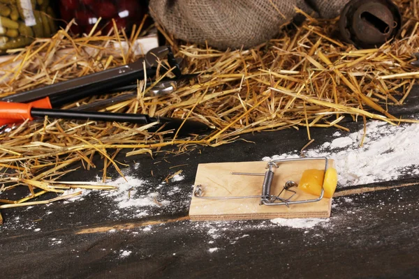 Trappola per topi con un pezzo di formaggio in fienile su sfondo di legno — Foto Stock