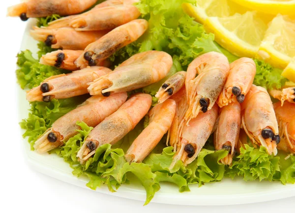 Udang rebus dengan lemon dan daun selada di atas piring, terisolasi di atas putih — Stok Foto