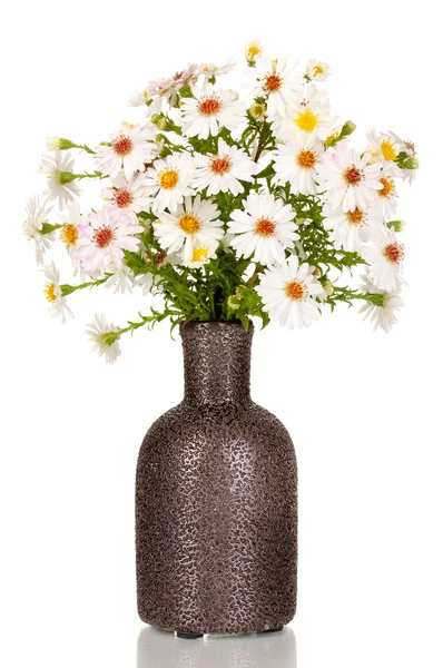 Beautiful bouquet of white flowers in vase isolated on white — Stock Photo, Image