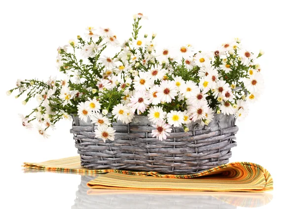 Schöner Strauß weißer Blumen in Korb isoliert auf weiß — Stockfoto