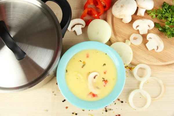 El proceso de la preparación la sopa con los ingredientes alrededor a la mesa el primer plano — Foto de Stock