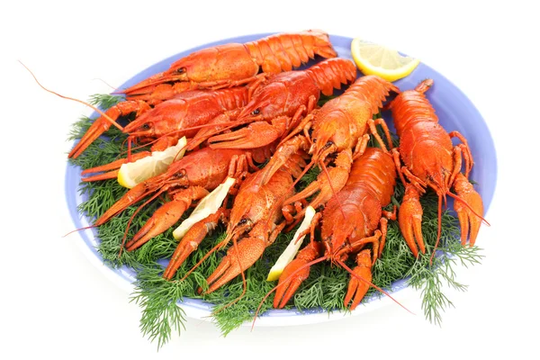 Crayfishes 흰색 절연 판에 회 향을 삶은 맛 있는 — 스톡 사진