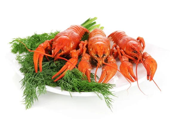 Tasty boiled crayfishes with fennel on plate isolated on white — Stock Photo, Image