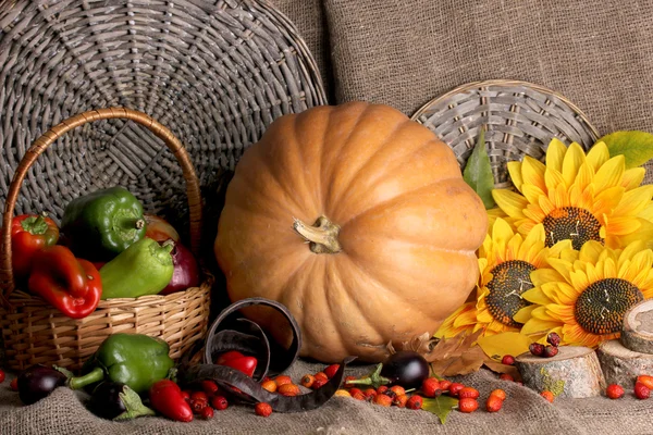 Hervorragendes Herbststillleben mit Kürbis auf Säcken — Stockfoto