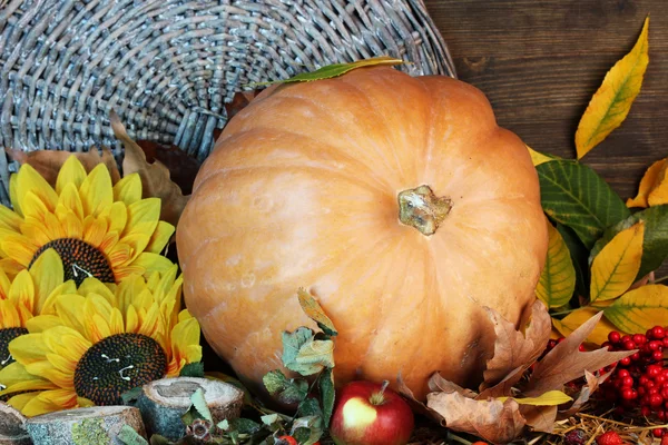 Hervorragendes Herbststillleben mit Kürbis auf Stroh auf hölzernem Hintergrund — Stockfoto
