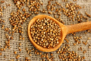 yığın kişniş tohum üzerinde tahta kaşık arka plan yakın çekim tuval