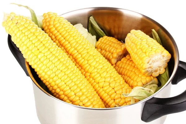 Fresh corn cobs in pot isolated on white — Stock Photo, Image