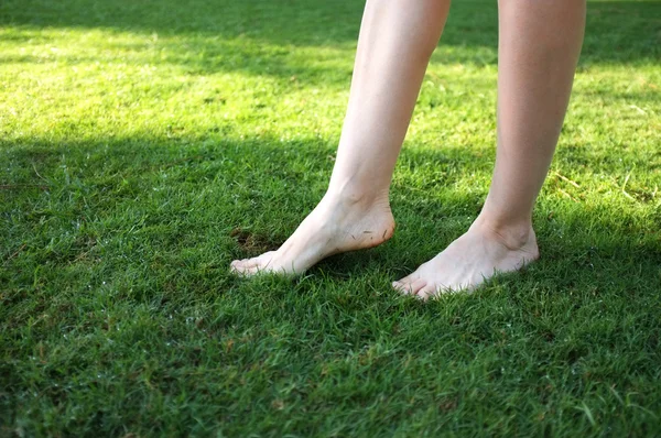 Nohy na zeleném trávníku — Stock fotografie