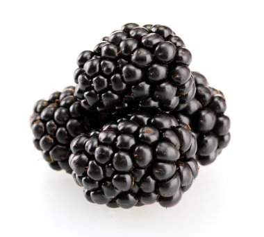 Güzel böğürtlenler beyaz üzerine izole