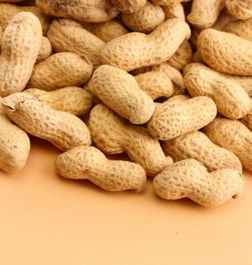 bej renkli arka plan üzerinde lezzetli fıstık