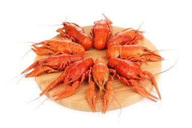 doğrama kurulu üzerinde beyaz izole olarak lezzetli haşlanmış crayfishes