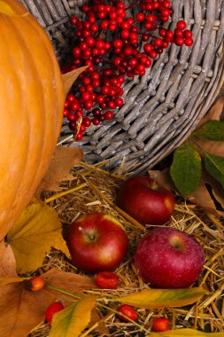 Ahşap ahşap arka plan yakın çekim masaya üzerinde kabak ile mükemmel sonbahar natürmort