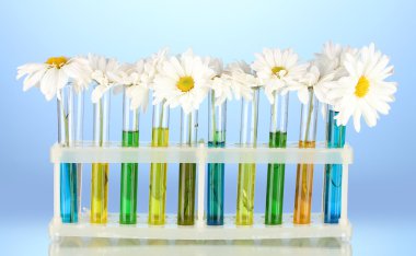 test tüpleri üzerinde mavi renkli çiçekler