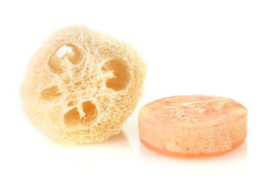 beyaz izole lif kabağı