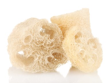 beyaz izole lif kabağı