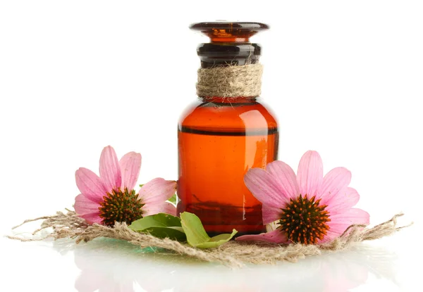 Medicine bottle with purple echinacea , isolated on white — Stock Photo, Image