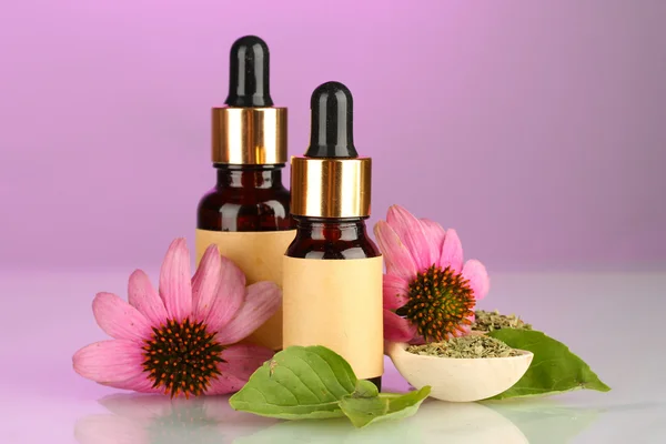 에센스 오일와 분홍색 바탕에 자주색 echinacea 병 — 스톡 사진