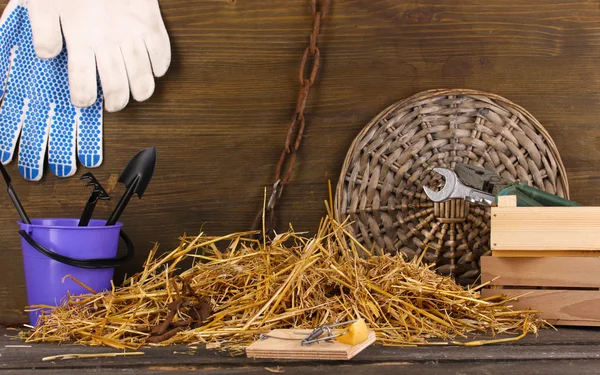 Past na myši s kouskem sýra v stodole na dřevěné pozadí — Stock fotografie