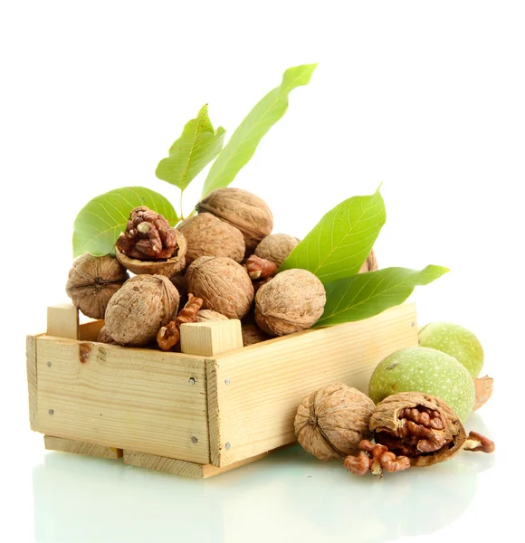 Walnuts with green leaves in woooden crate, isolated on white — Stock Photo, Image