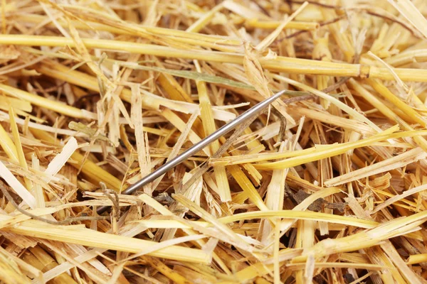 Needle in a haystack close-up — Stock Photo, Image