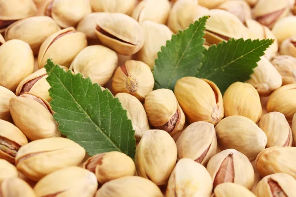 Smakelijke pistache noten met bladeren, close-up — Stockfoto