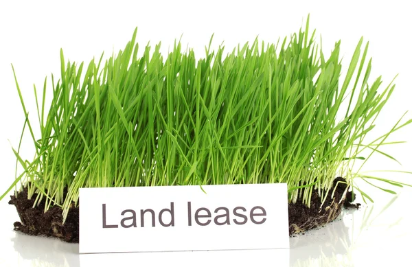 Green grass with ground as concept of land sale isolated on white — Stock Photo, Image