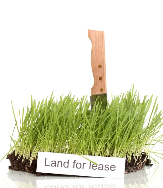 Zelené trávě s zem jako koncept prodeje pozemku izolované na bílém — Stock fotografie